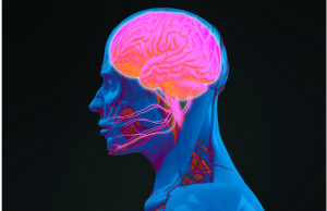 Alzheimer’s Linked to COVID-19 and Other Common Viral Infections